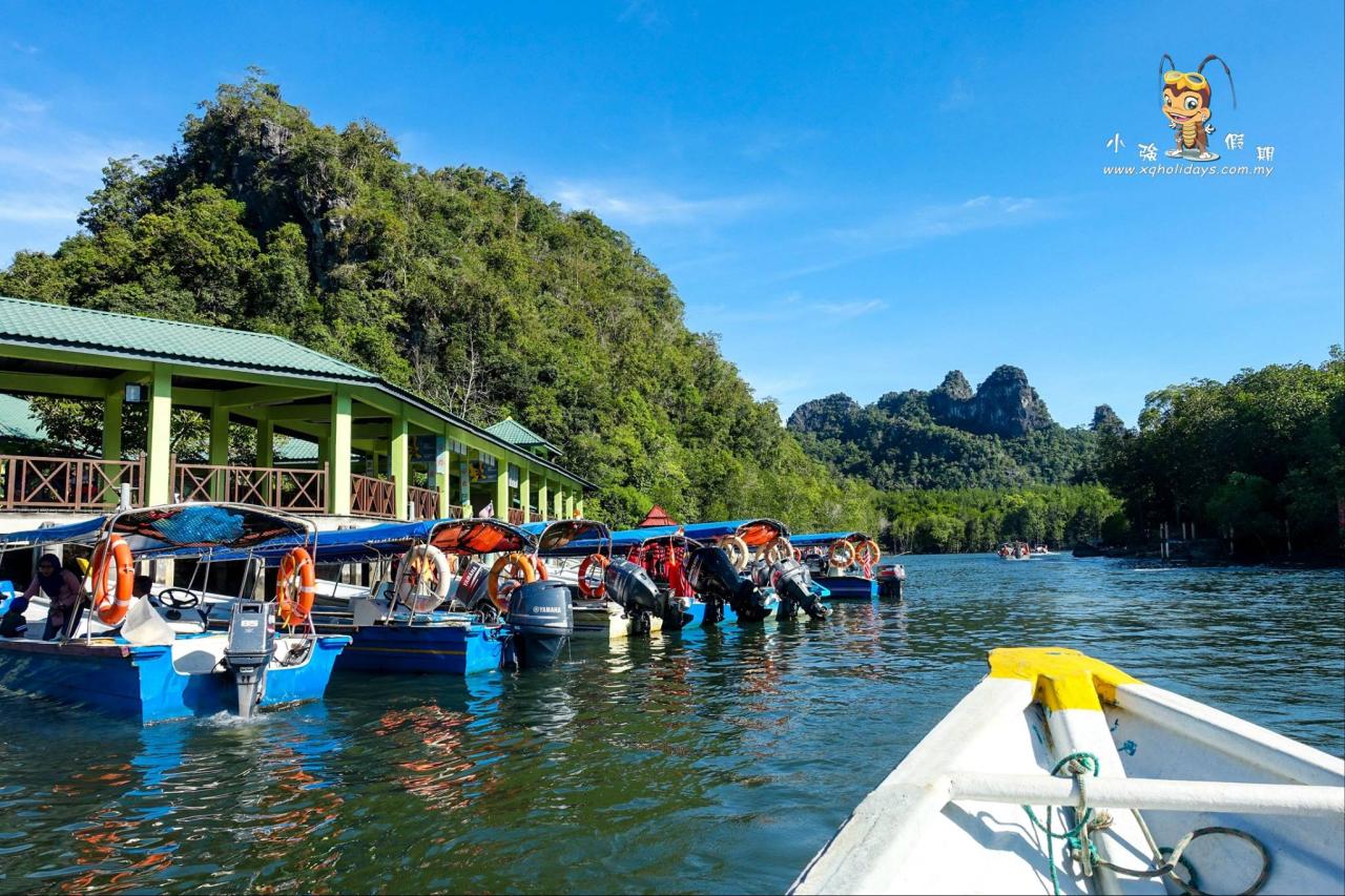 Jelajahi Ekosistem Mangrove yang Menakjubkan dengan Mangrove Tour Langkawi