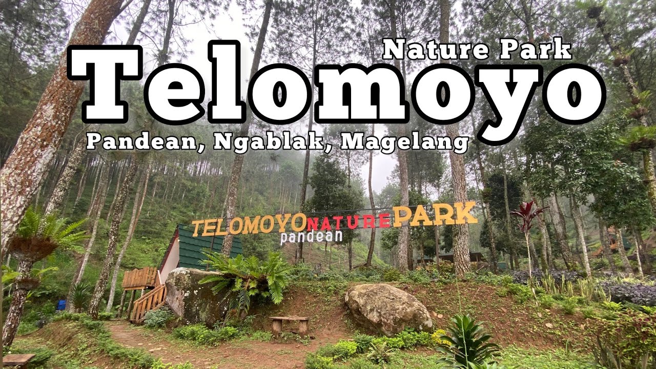 Telomoyo Nature Park: Surga Tersembunyi di Lereng Merapi